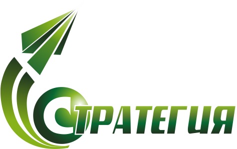 Стратегия